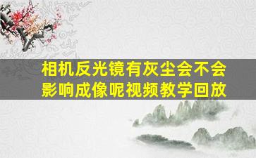 相机反光镜有灰尘会不会影响成像呢视频教学回放