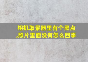 相机取景器里有个黑点,照片里面没有怎么回事