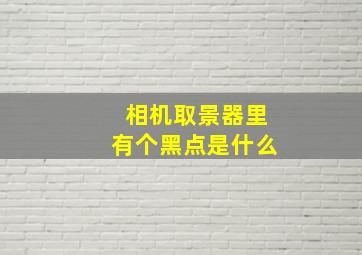 相机取景器里有个黑点是什么