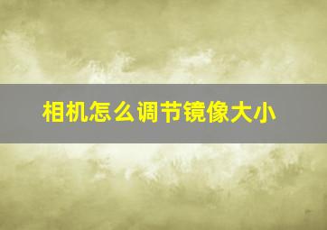 相机怎么调节镜像大小