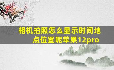 相机拍照怎么显示时间地点位置呢苹果12pro