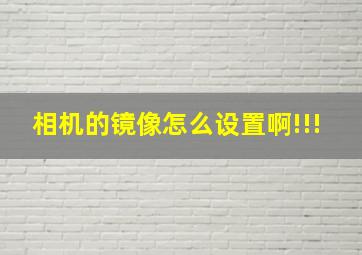 相机的镜像怎么设置啊!!!