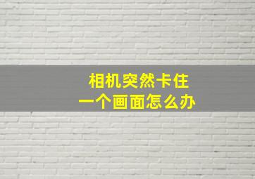 相机突然卡住一个画面怎么办