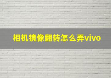 相机镜像翻转怎么弄vivo