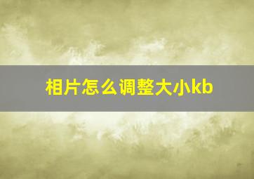 相片怎么调整大小kb