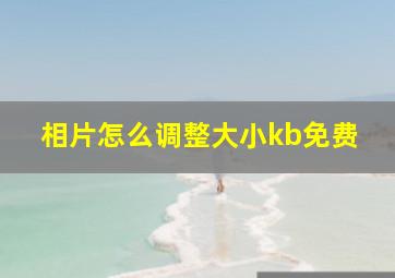 相片怎么调整大小kb免费