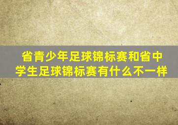 省青少年足球锦标赛和省中学生足球锦标赛有什么不一样