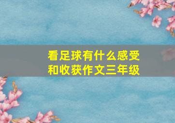 看足球有什么感受和收获作文三年级