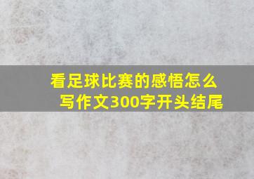 看足球比赛的感悟怎么写作文300字开头结尾