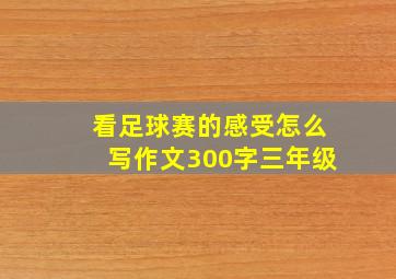 看足球赛的感受怎么写作文300字三年级