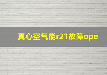 真心空气能r21故障ope