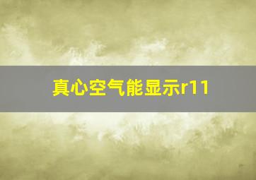 真心空气能显示r11