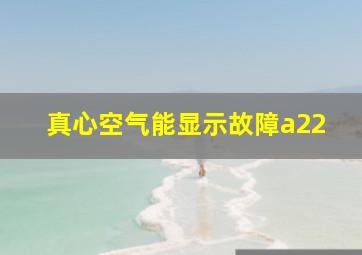 真心空气能显示故障a22