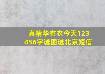 真精华布衣今天123456字谜图谜北京短信