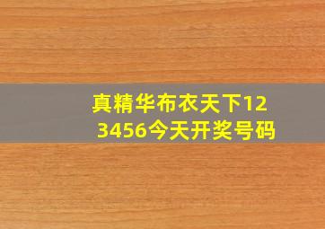 真精华布衣天下123456今天开奖号码