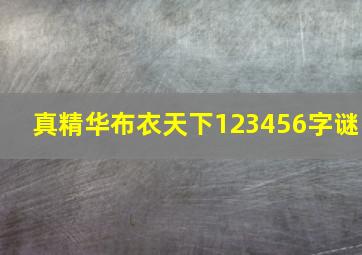 真精华布衣天下123456字谜