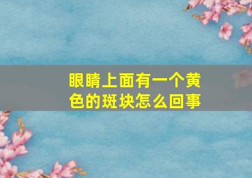 眼睛上面有一个黄色的斑块怎么回事