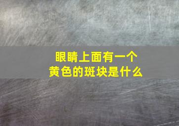 眼睛上面有一个黄色的斑块是什么