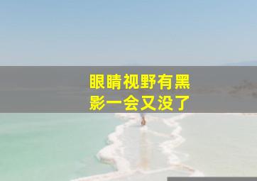 眼睛视野有黑影一会又没了