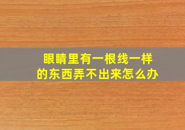 眼睛里有一根线一样的东西弄不出来怎么办