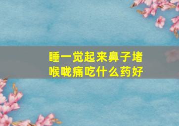 睡一觉起来鼻子堵喉咙痛吃什么药好