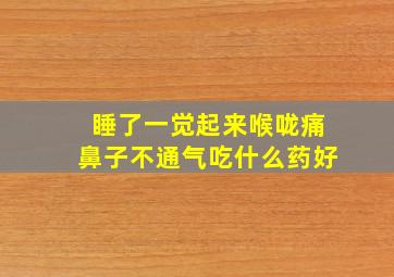 睡了一觉起来喉咙痛鼻子不通气吃什么药好