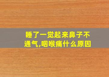 睡了一觉起来鼻子不通气,咽喉痛什么原因