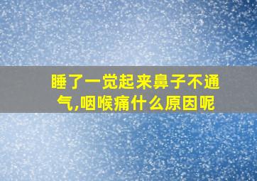 睡了一觉起来鼻子不通气,咽喉痛什么原因呢