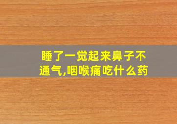 睡了一觉起来鼻子不通气,咽喉痛吃什么药