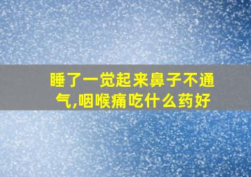 睡了一觉起来鼻子不通气,咽喉痛吃什么药好