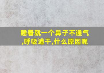 睡着就一个鼻子不通气,呼吸道干,什么原因呢