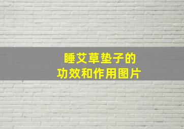 睡艾草垫子的功效和作用图片