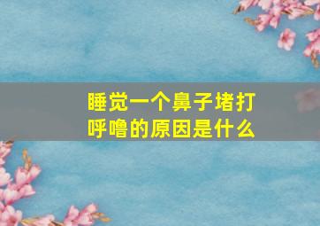 睡觉一个鼻子堵打呼噜的原因是什么