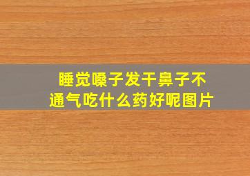 睡觉嗓子发干鼻子不通气吃什么药好呢图片