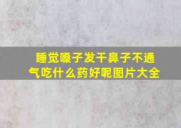 睡觉嗓子发干鼻子不通气吃什么药好呢图片大全