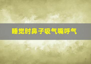 睡觉时鼻子吸气嘴呼气