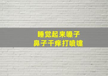 睡觉起来嗓子鼻子干痒打喷嚏