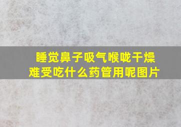 睡觉鼻子吸气喉咙干燥难受吃什么药管用呢图片