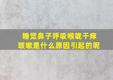 睡觉鼻子呼吸喉咙干痒咳嗽是什么原因引起的呢