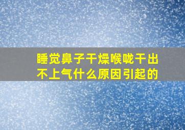 睡觉鼻子干燥喉咙干出不上气什么原因引起的