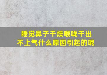 睡觉鼻子干燥喉咙干出不上气什么原因引起的呢