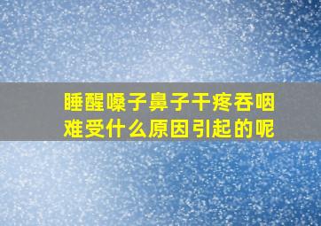 睡醒嗓子鼻子干疼吞咽难受什么原因引起的呢