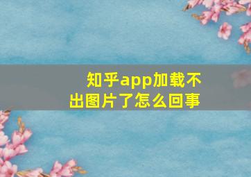 知乎app加载不出图片了怎么回事