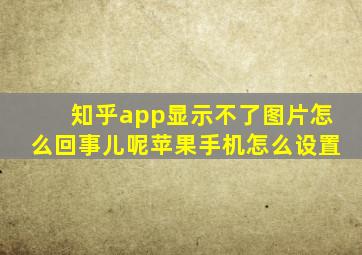 知乎app显示不了图片怎么回事儿呢苹果手机怎么设置