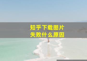 知乎下载图片失败什么原因