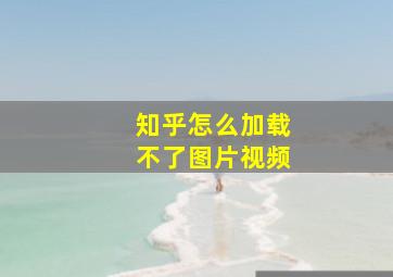 知乎怎么加载不了图片视频