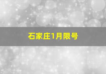 石家庄1月限号