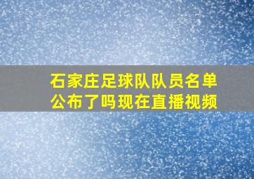 石家庄足球队队员名单公布了吗现在直播视频