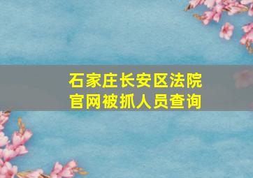 石家庄长安区法院官网被抓人员查询