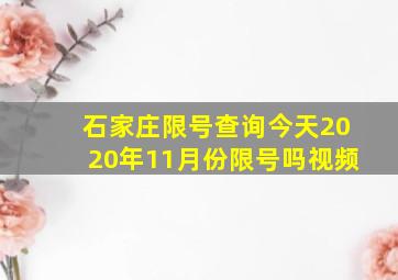 石家庄限号查询今天2020年11月份限号吗视频